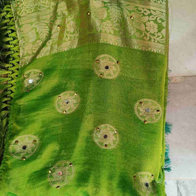 Light Green Lehenga