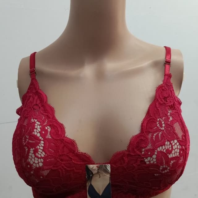 Red fancy net bra