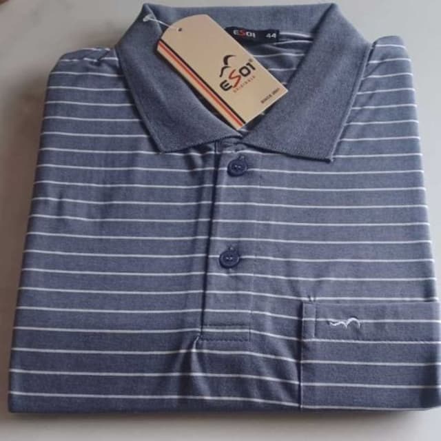 Blue and White Polo Shirt