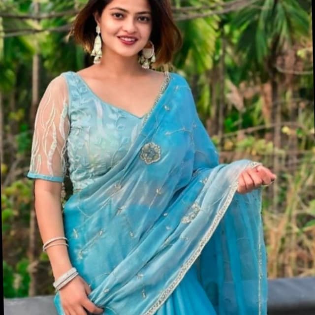 Light Blue and Silver Saree