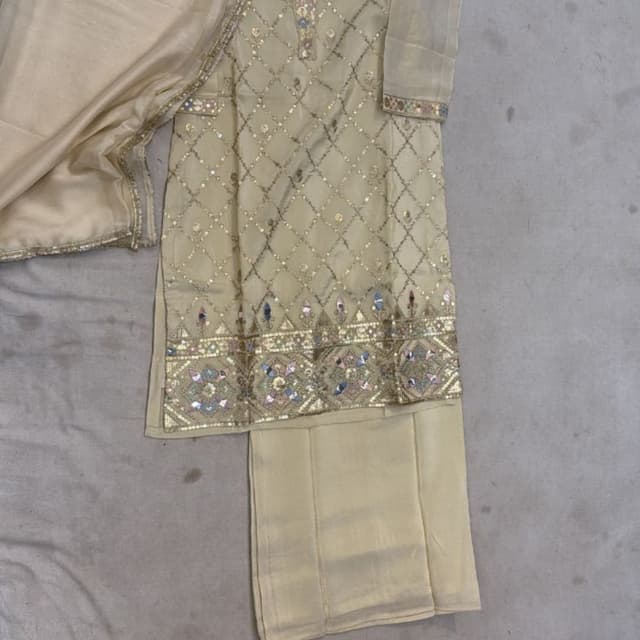 Beige, Gold, Multicolor Salwar Kameez