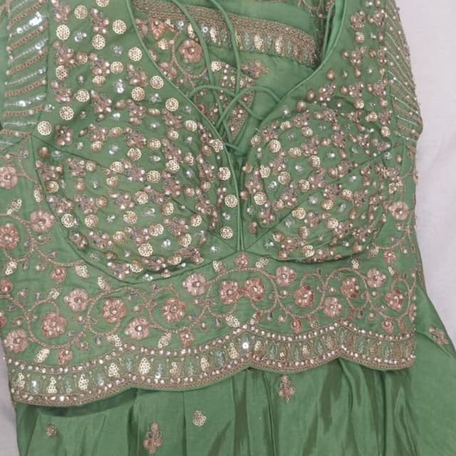 Sage Green with Gold and Silver Accents Lehenga Choli
