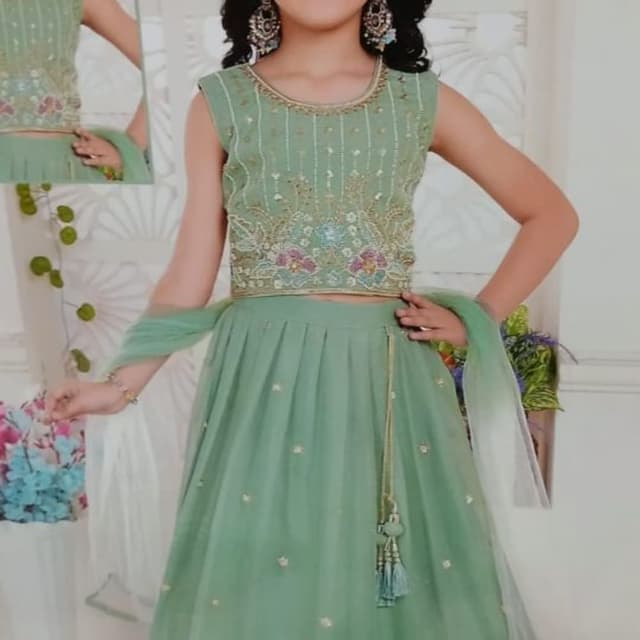 Sage Green, Gold, Pink, Blue Lehenga Choli