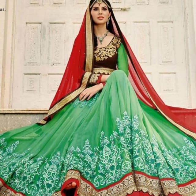 Green, Red, Brown, Gold Lehenga Choli