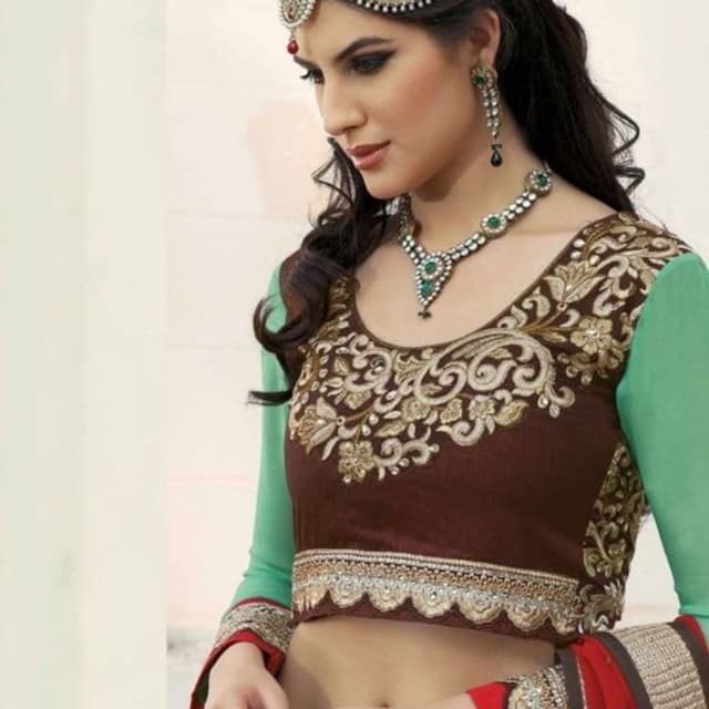 Brown, Mint Green, Red, Gold, Silver Lehenga Choli