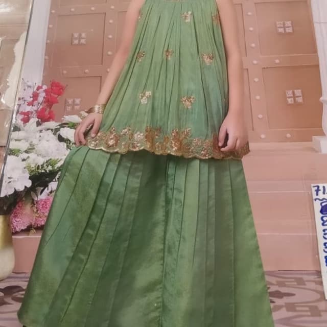 Sage Green with Gold accents Lehenga Choli