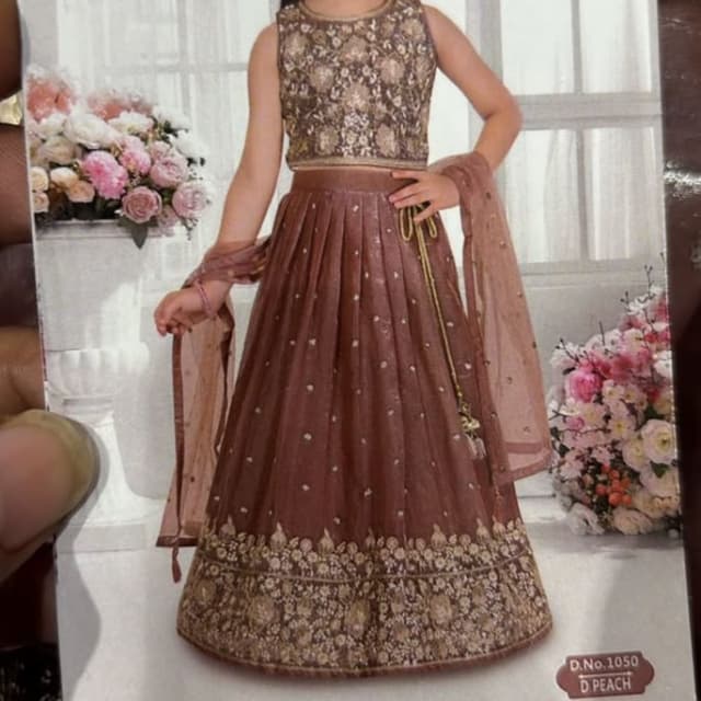 Peach, Gold, Brown Lehenga Choli