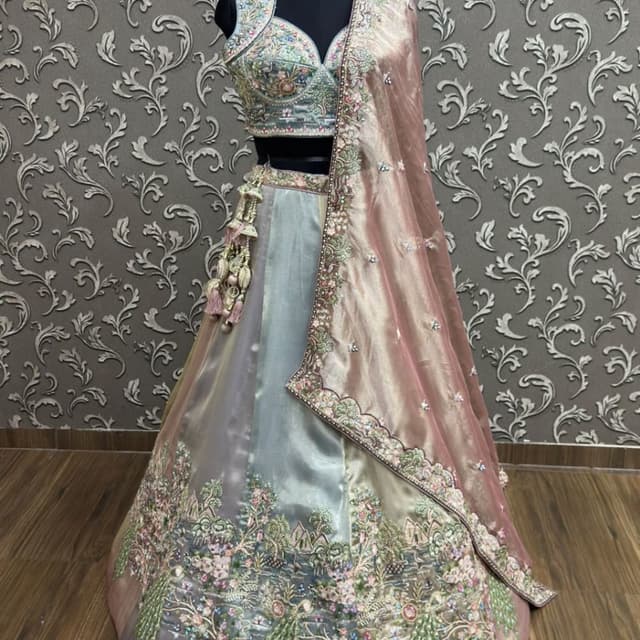 Pastel pink, mint green, and iridescent metallic tones Lehenga Choli