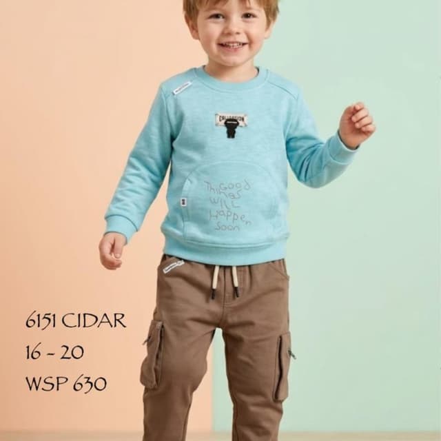 Light Blue and Brown Sweatshirt and Cargo Pants Set