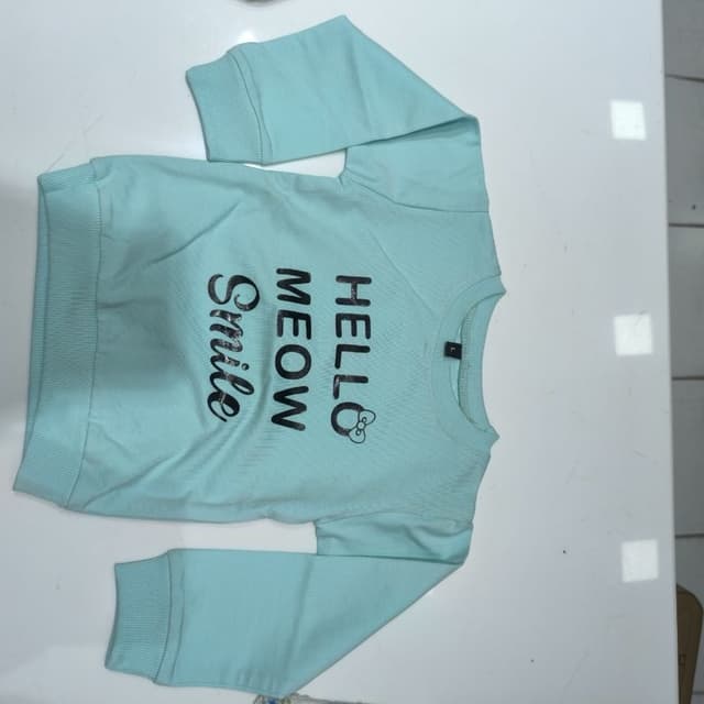 Light Blue/Mint Green base with Black text Sweatshirt