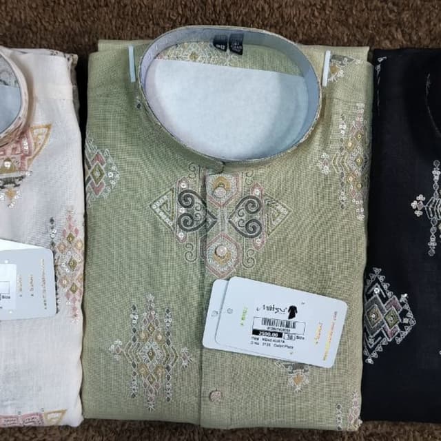 Sage Green base with multi-colored embroidery in gold, white, and grey Kurta