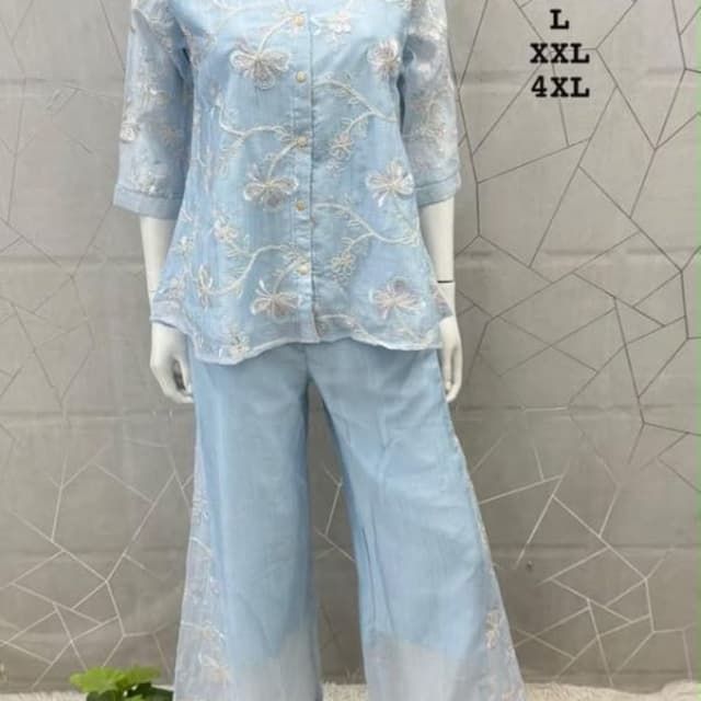 Light Blue Co-ord Set (Top and Pant)