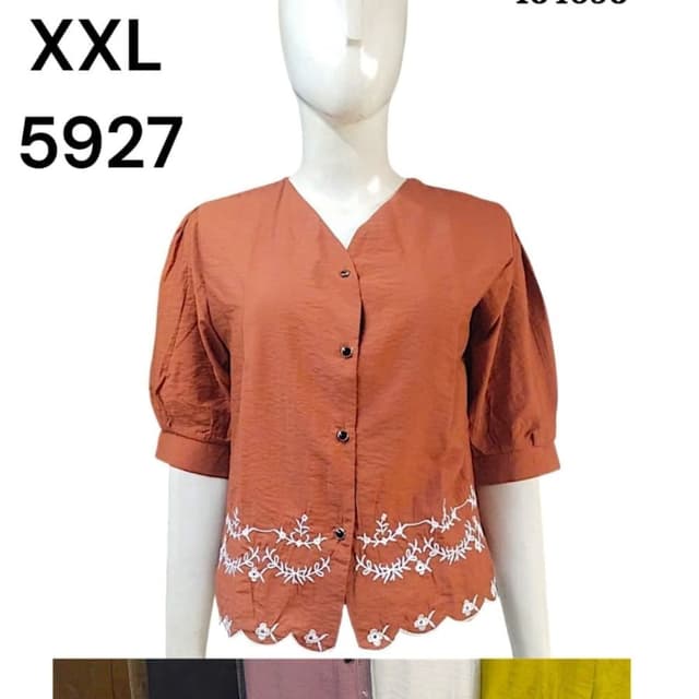 Rust brown with white embroidery Fancy Top