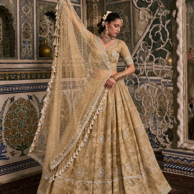 Golden, Beige, Metallic silver Lehenga Choli