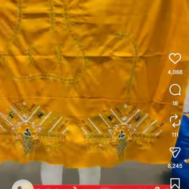 Vibrant Yellow base with Metallic Gold, Black, and subtle multi-color accents Saree