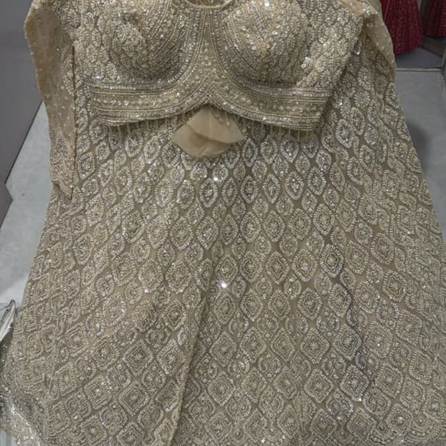 Champagne gold, beige, and shimmering silver Lehenga Choli