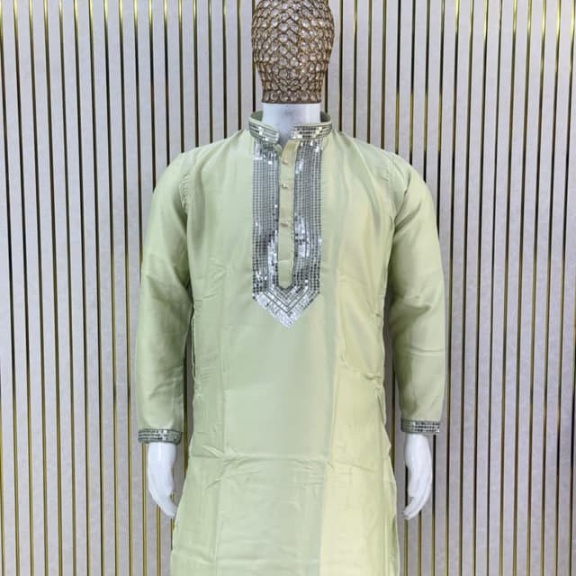 Light pistachio green with silver accents Kurta